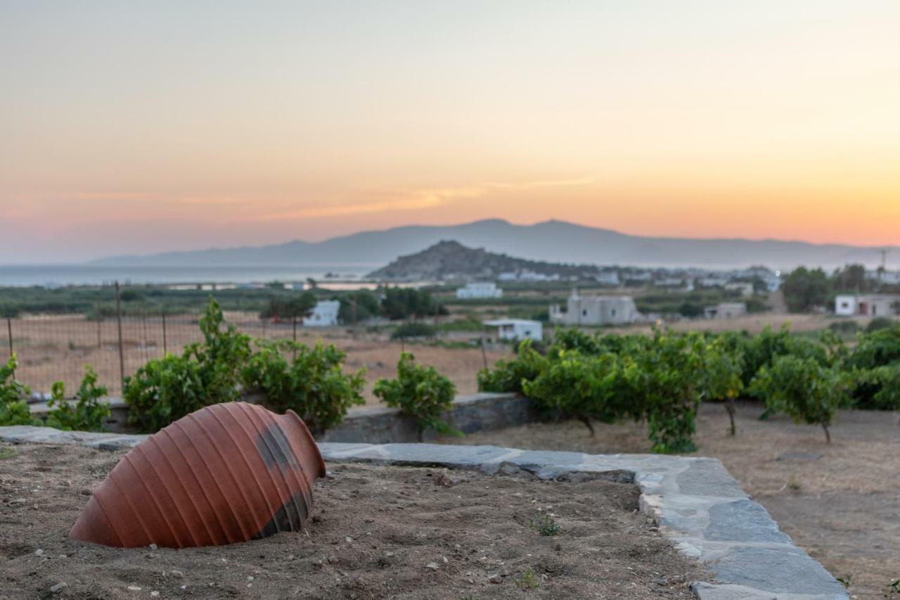 Apartamento Naxian Pearl Mikri Vigla Exterior foto